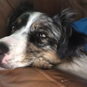 Meet your Posher, Landrie